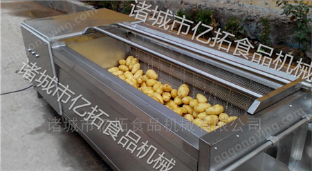 连续式土豆毛辊清洗风干生产线