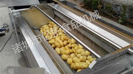 土豆马铃薯毛刷清洗机