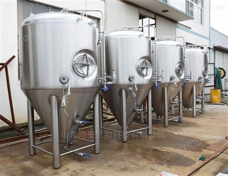 中小型精酿德国啤酒厂设备