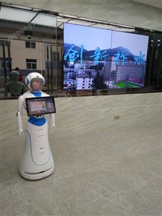 政府行政大厅机器人